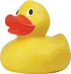 image of plastic duck