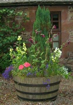 picture of tub of flowers outside hall