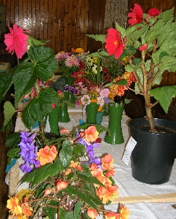 Flowers in 2010 show