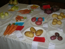 Vegetables in 2010 show